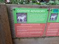 Coyote Advisory, near the Coit Tower, San Francisco