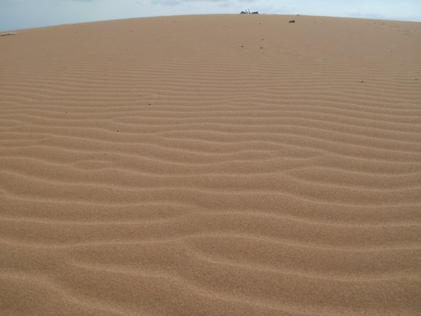 The sand dunes of Venezuela