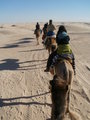 The camel trek group