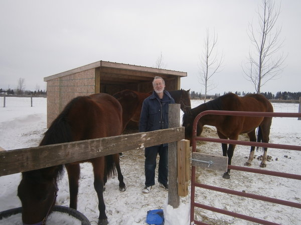 Uncle William and their horses