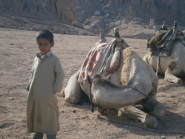 Bedouin Boy and Camel