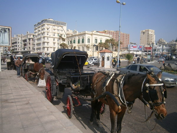 Caleches - Horse-Drawn Carriages