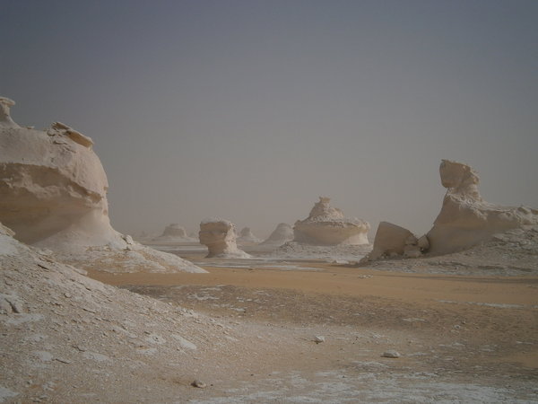 Sphinx to the Right