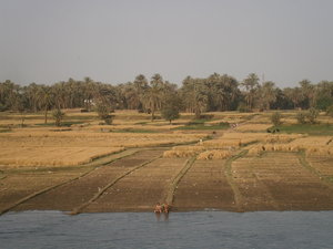 Irrigated Farm Land