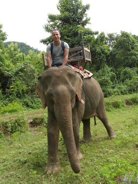 Elephant Riding