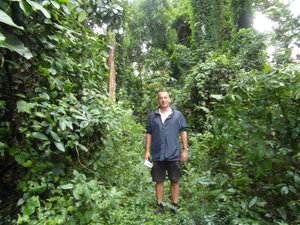 Guided Jungle Trek