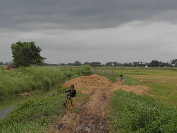 Burma Rural Scene