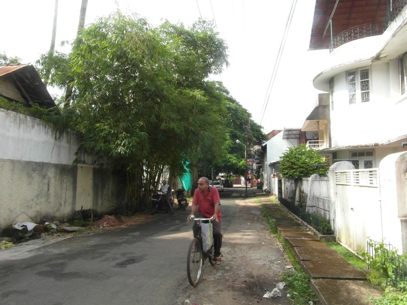 Kochi Street Scene