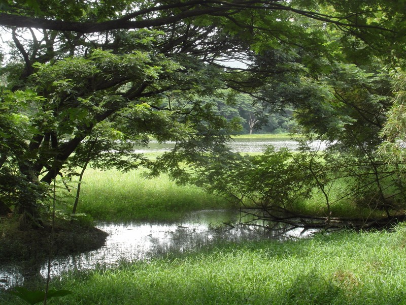 Karanji Lake Nature Park