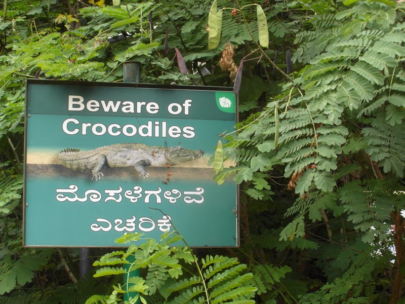 "Beware of Crocodiles"