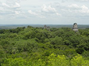 View from Templo IV