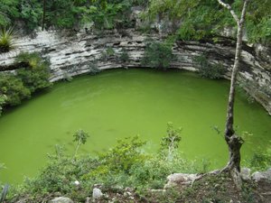 Cenote Sagrado (Sacred Cenote)