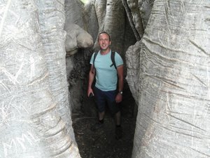 Me, inside the Baobab Tree