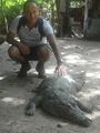 Me and a Crocodile