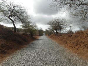 Road to the Crater