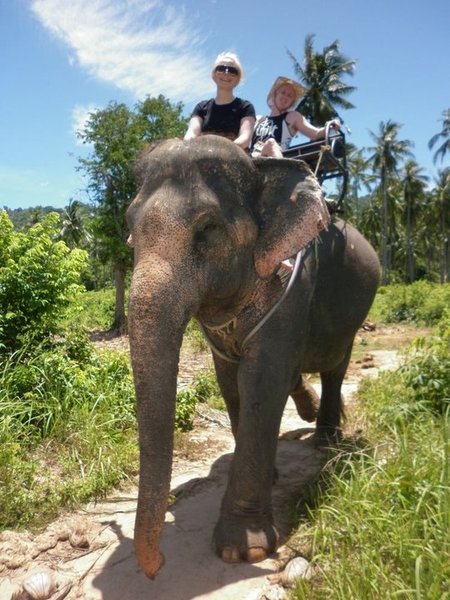 Anita the Elephant