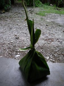 Banana Leaf Bundle