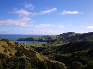 Green Hills of NZ