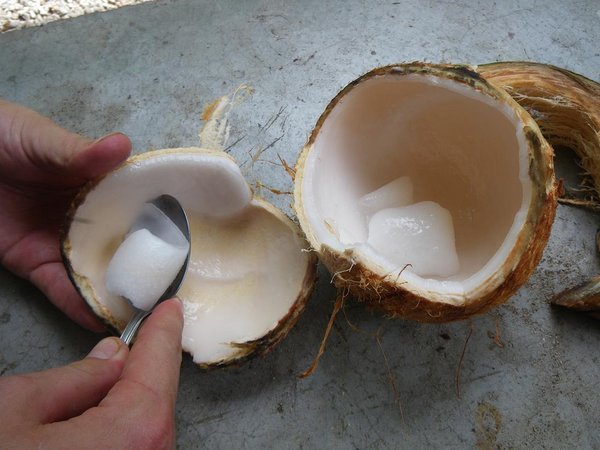 Coconut Jell-O