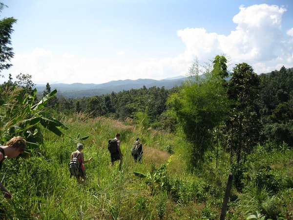 Trekking in northern Thailand