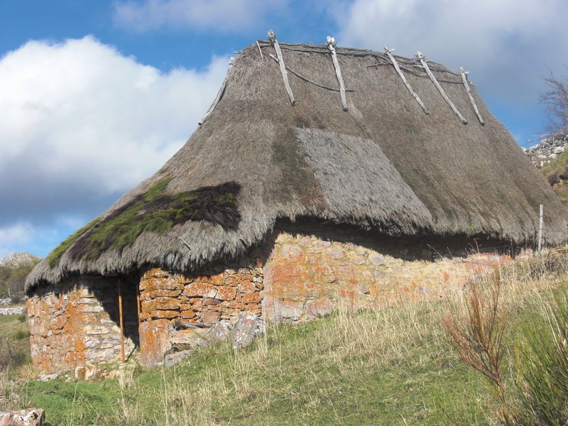 Notice the thatched roof