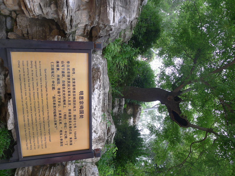 In Jingshan Park where an infamous emperor hung himself