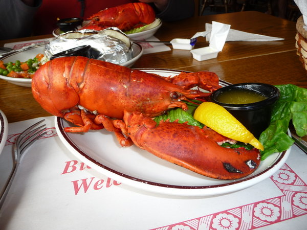 Lobster lunch
