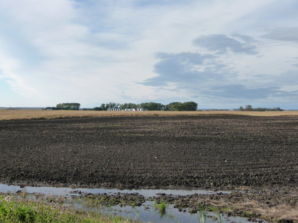 Saskatchewan farmland