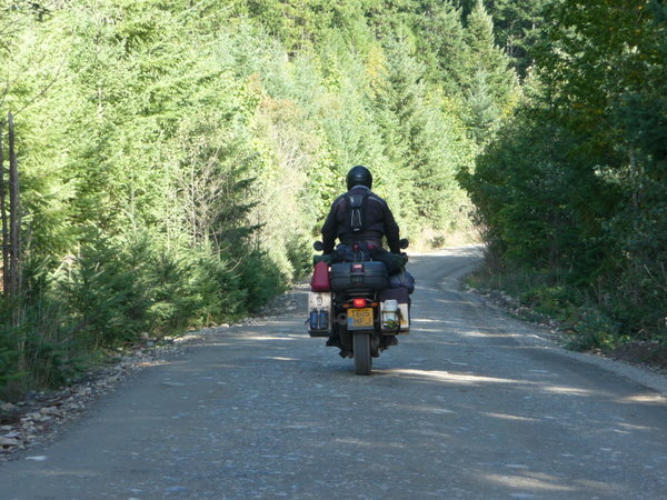 Mark on forestry road