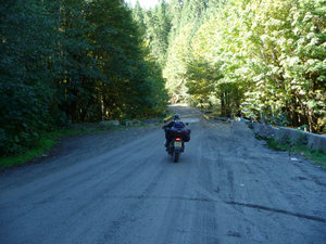 Sally on forestry road