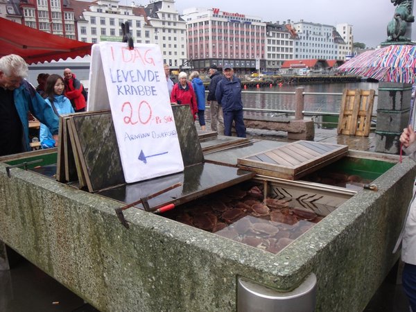 Live crabs for 20kr at the fish market