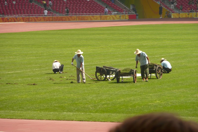 Workers on the field