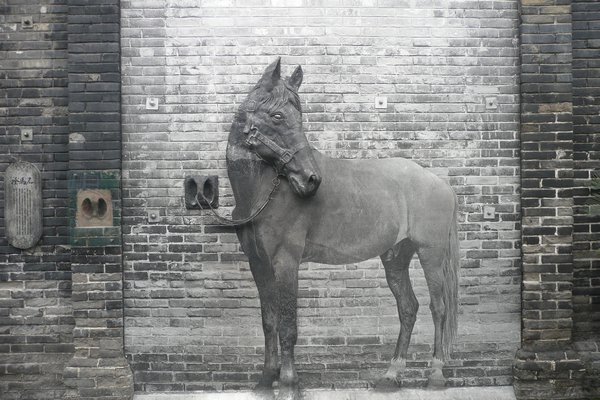 a horse stuck in a wall