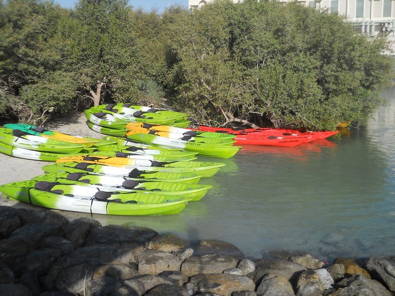 Kayaks ready to go