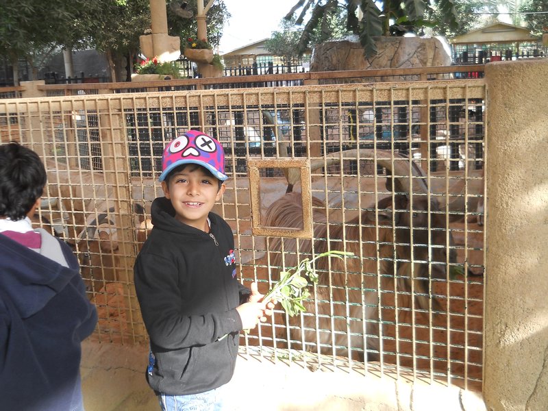 Emirates Park Zoo Trip