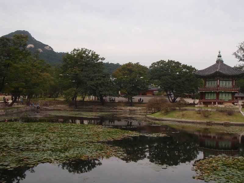 Gyeonbuk garden