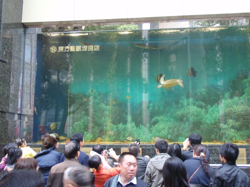 Aquarium on Nanjing Lu