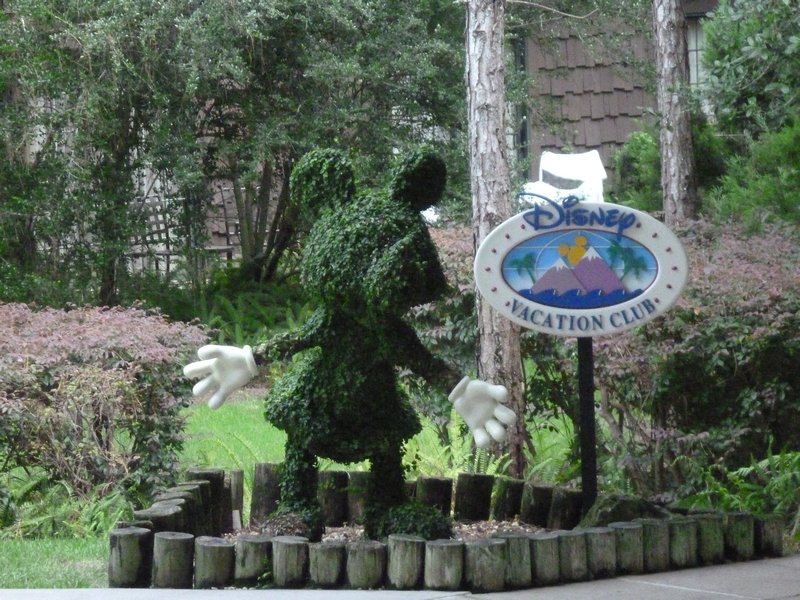 Topiary to the Disney Vacation Club Villas