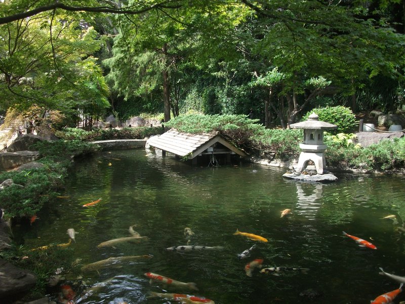 A carp pond at the shrine