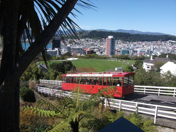 The Wellington tram