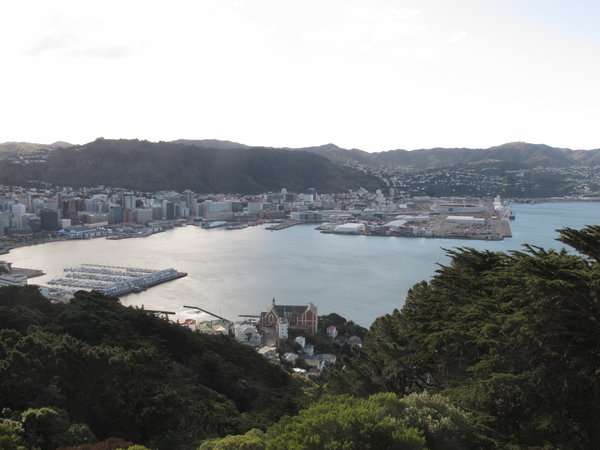 The harbour from mt Vic