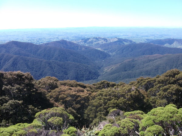 View from MT Holdsworth