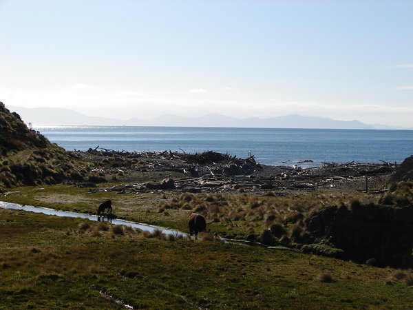 A view of the south island from Makara beach
