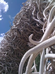 Antler Arch, Jackson, WY