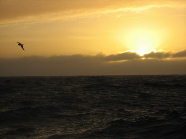 Sunset on the Drake Passage