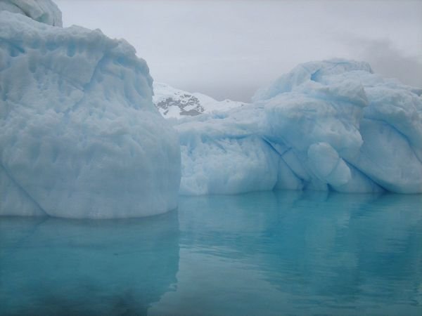 Icebergs near Danco Island