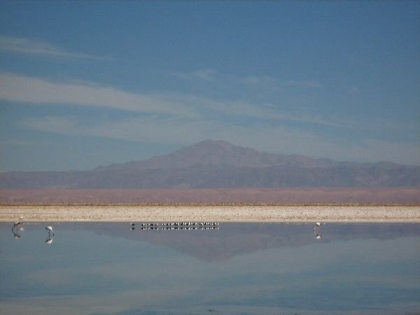 View of Cerro Quimal from a lake in the Salar de Atacama