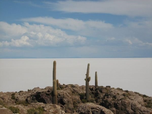 Isla de Incahuasi and the Salar de Uyuni