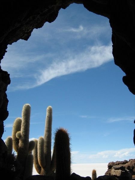 Rock arch, Cacti, Isla de Incahuasi, Salar de Uyuni