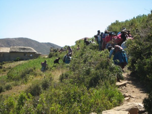 Locals maintaining the path, Isla del Sol
